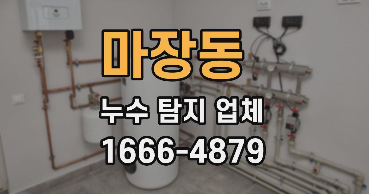 마장동 누수 탐지 업체