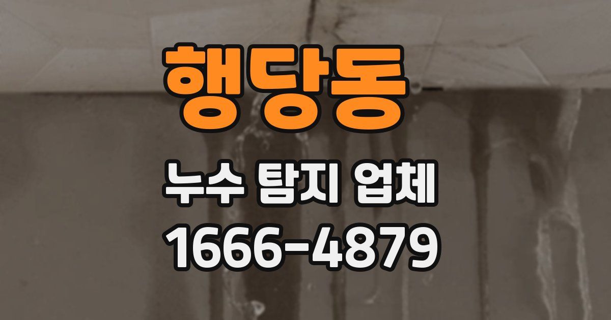 행당동 누수 탐지 업체