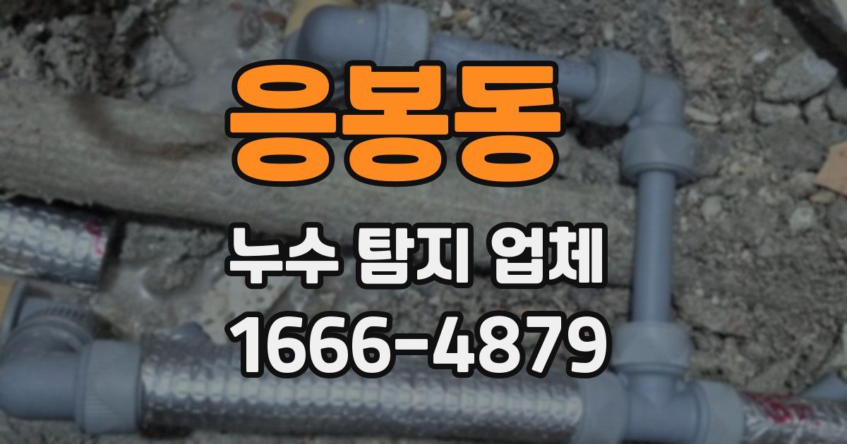 응봉동 누수 탐지 업체