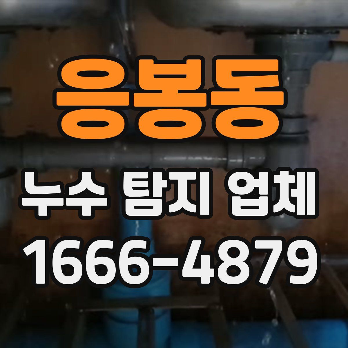 응봉동 누수 탐지 업체
