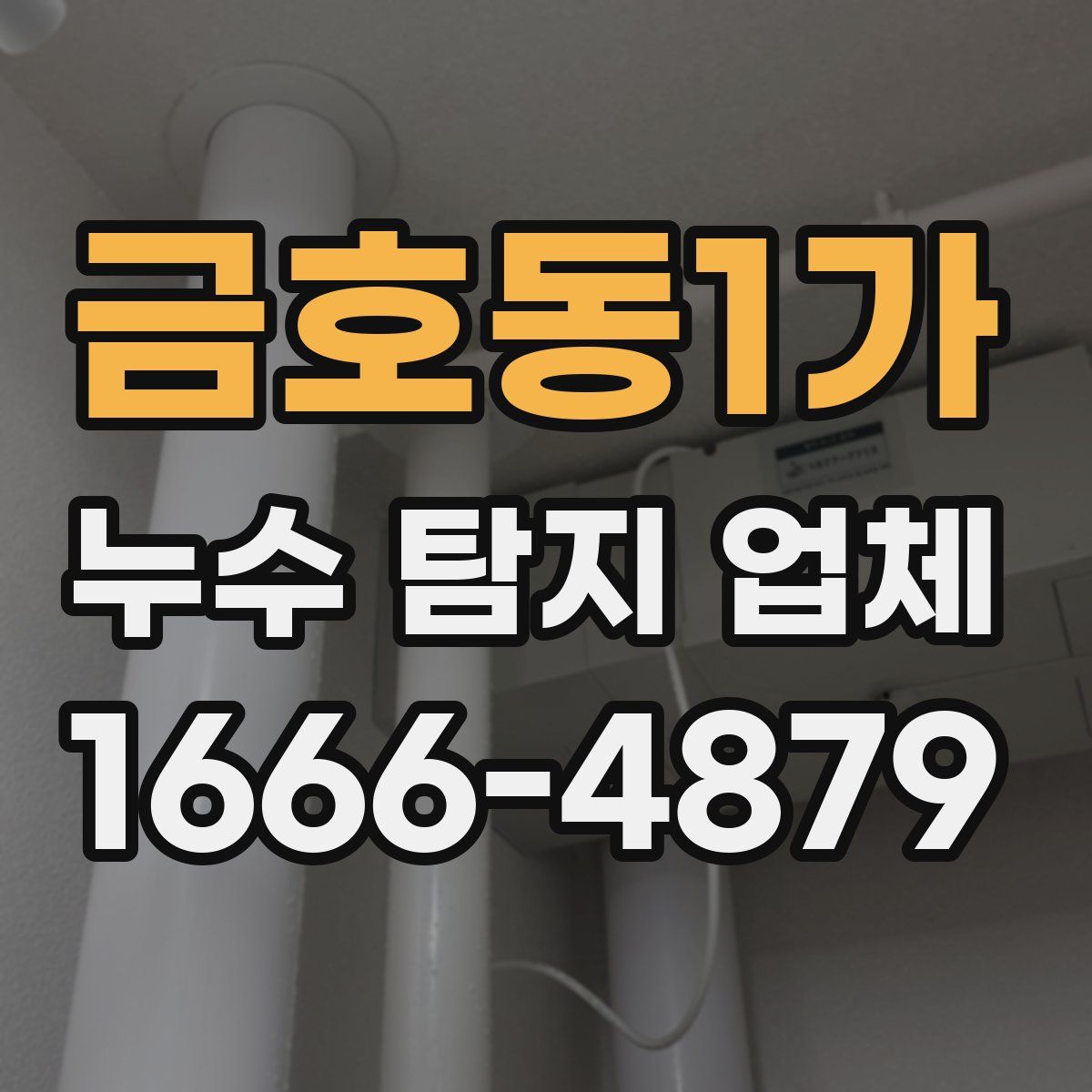 금호동1가 누수 탐지 업체