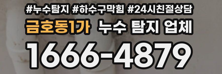 금호동1가 누수 탐지 업체