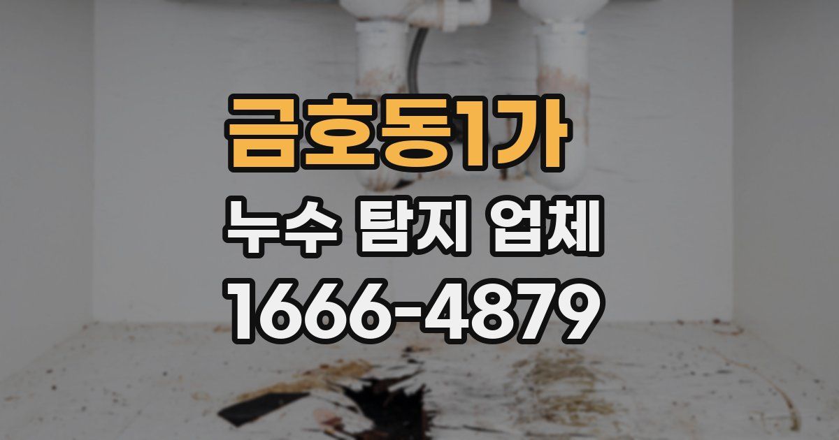 금호동1가 누수 탐지 업체