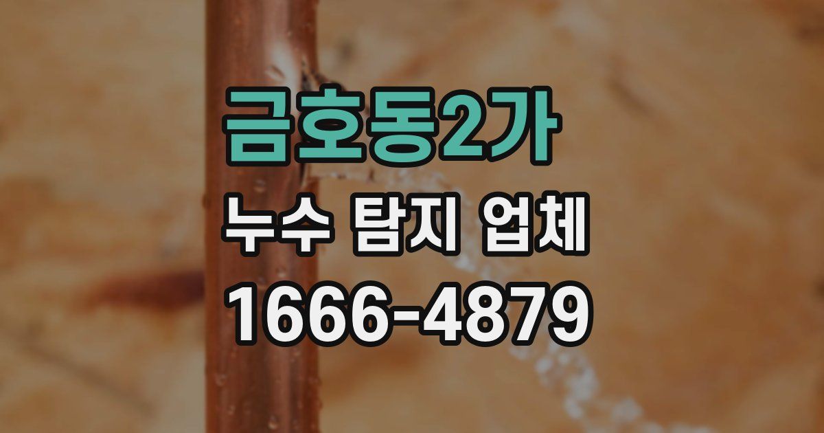 금호동2가 누수 탐지 업체