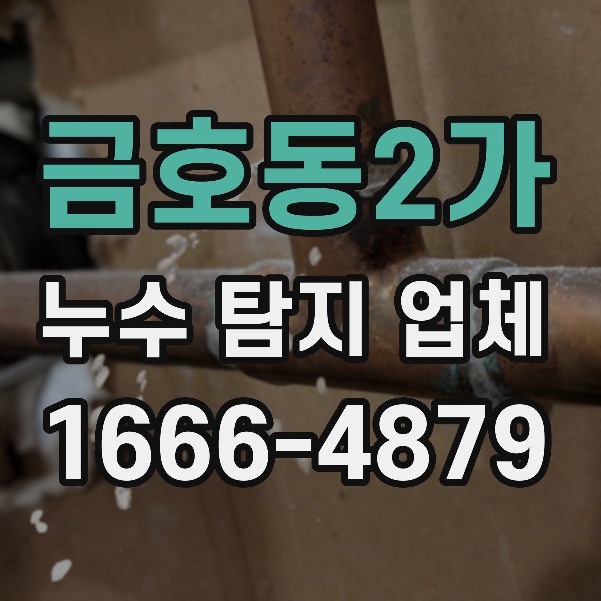 금호동2가 누수 탐지 업체