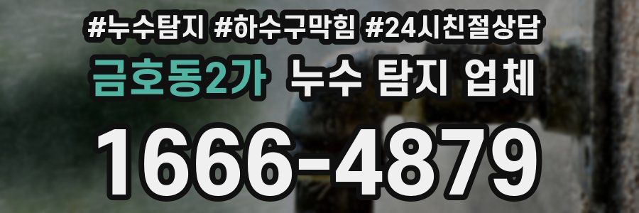 금호동2가 누수 탐지 업체