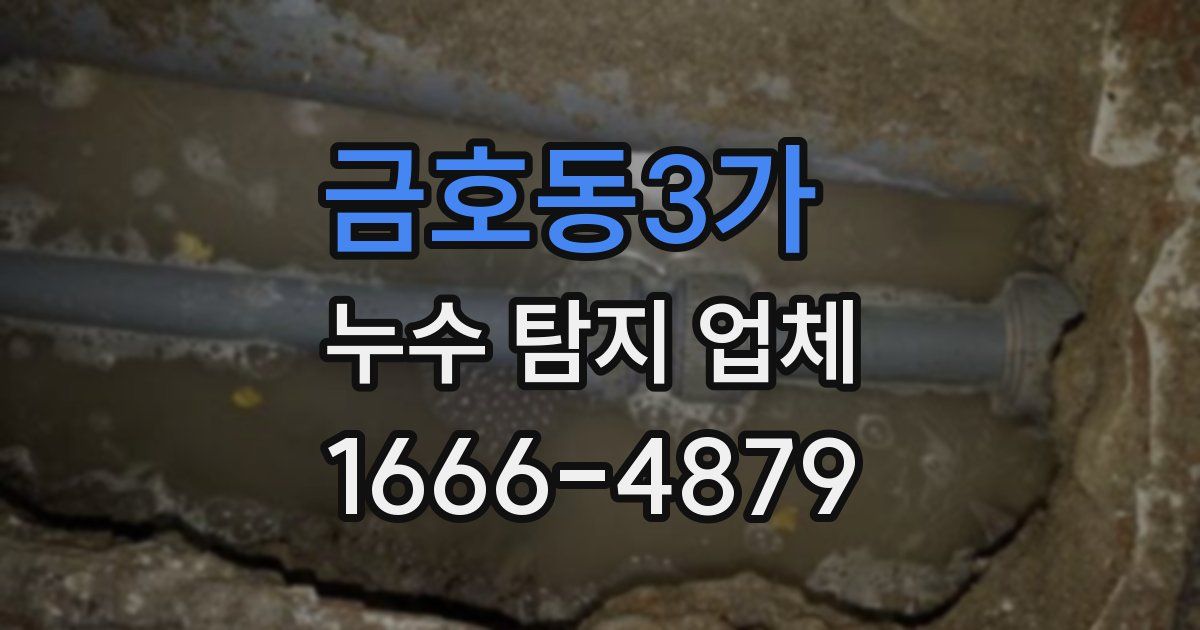 금호동3가 누수 탐지 업체