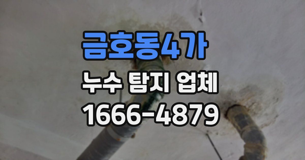 금호동4가 누수 탐지 업체