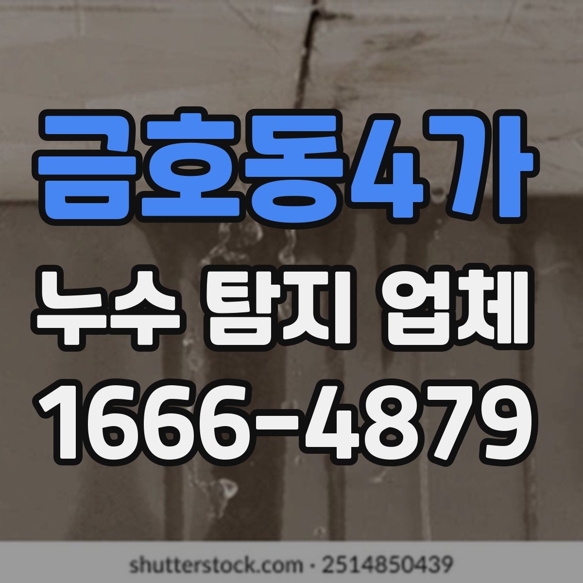 금호동4가 누수 탐지 업체