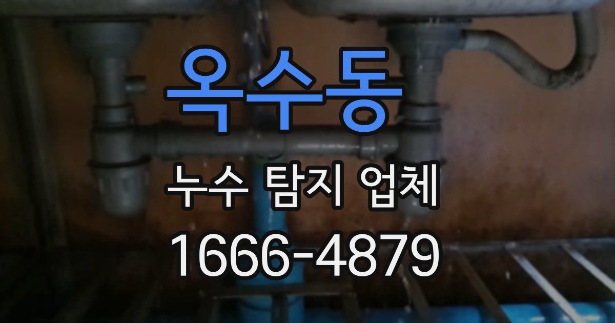 옥수동 누수 탐지 업체