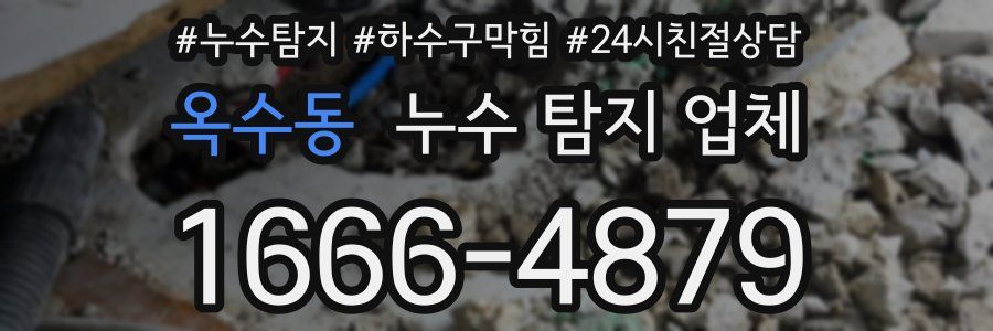옥수동 누수 탐지 업체