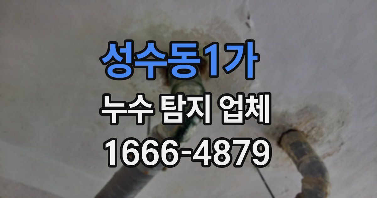 성수동1가 누수 탐지 업체