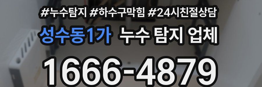 성수동1가 누수 탐지 업체