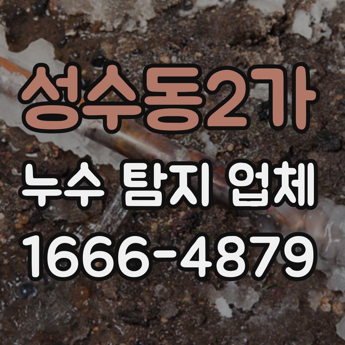 성수동2가 누수 탐지 업체