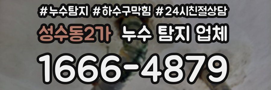 성수동2가 누수 탐지 업체