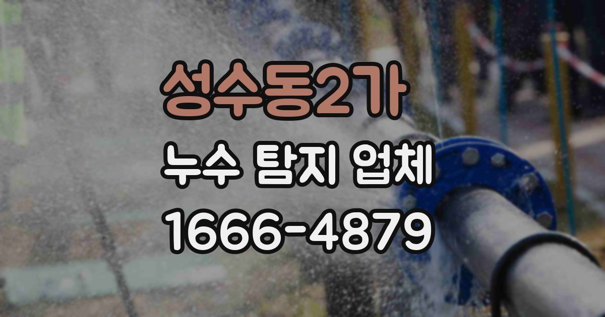 성수동2가 누수 탐지 업체