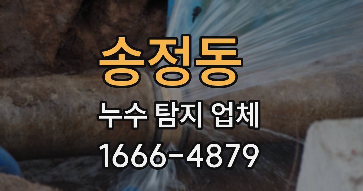 송정동 누수 탐지 업체