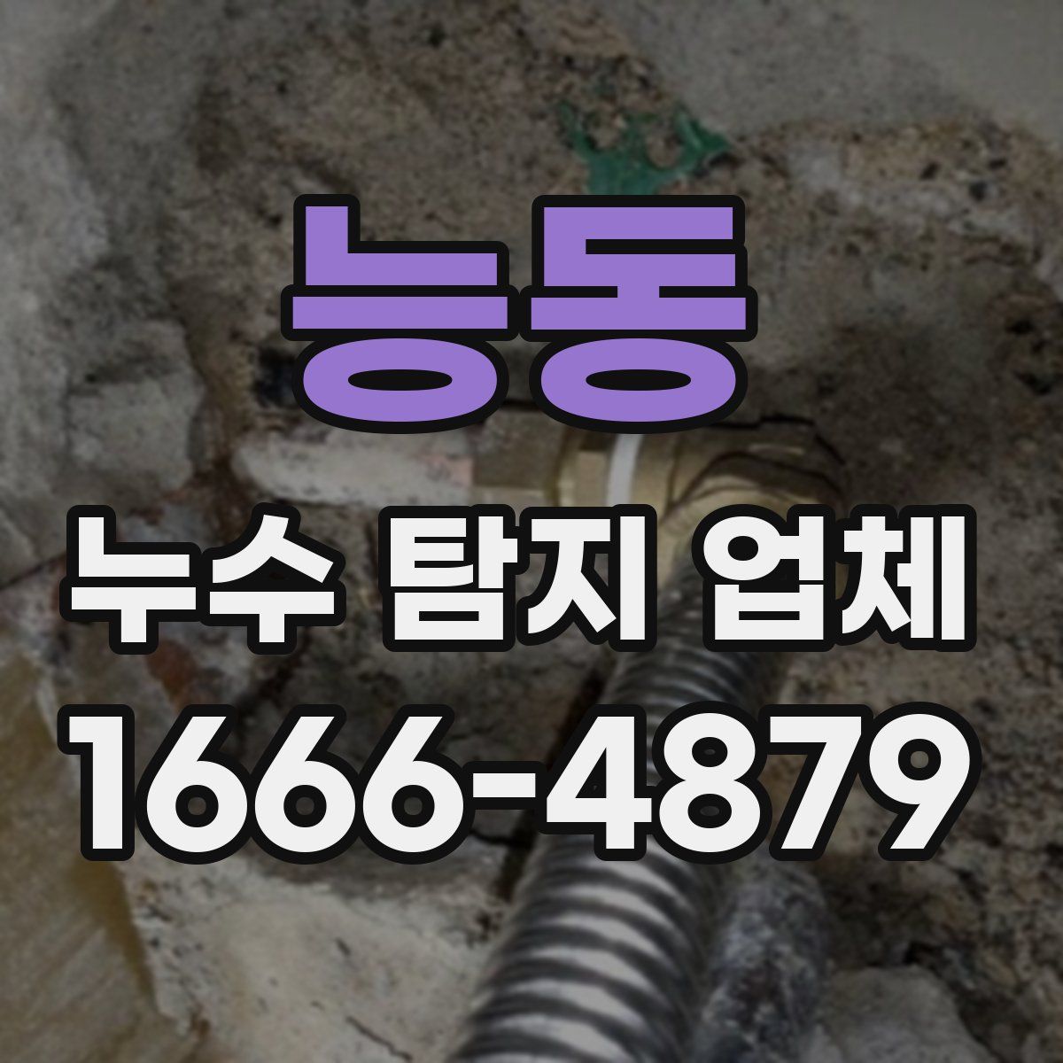 능동 누수 탐지 업체
