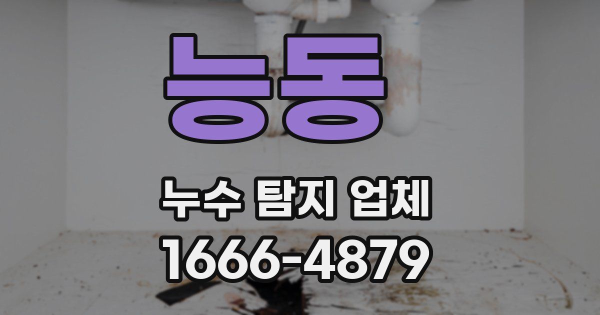 능동 누수 탐지 업체