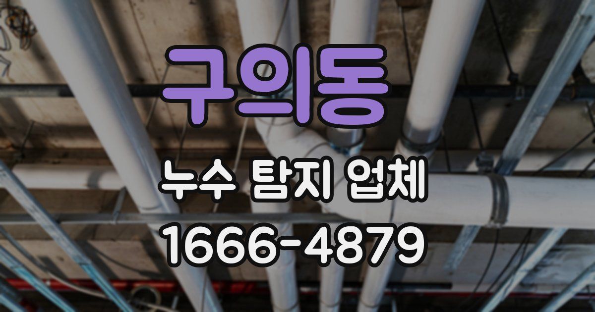 구의동 누수 탐지 업체