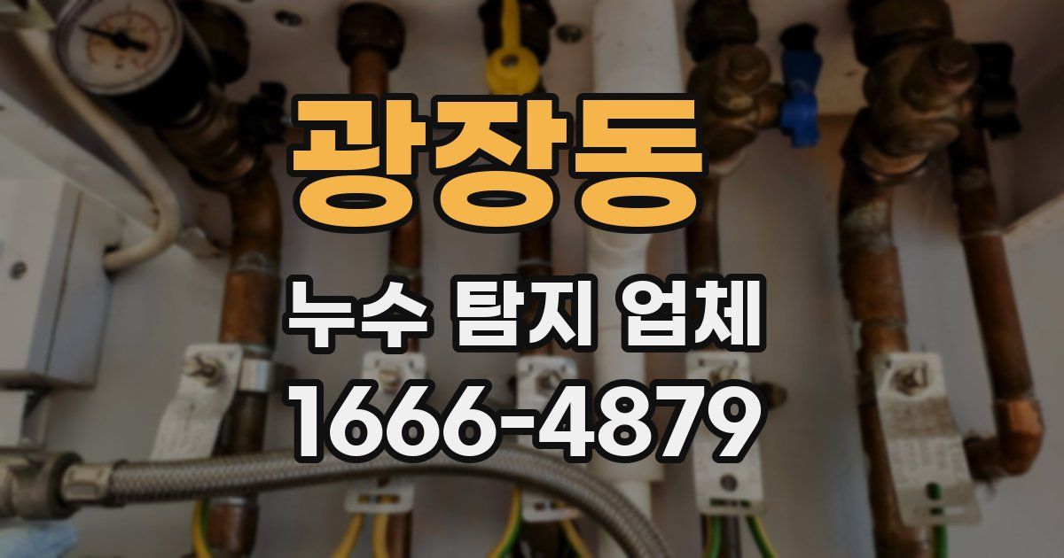 광장동 누수 탐지 업체