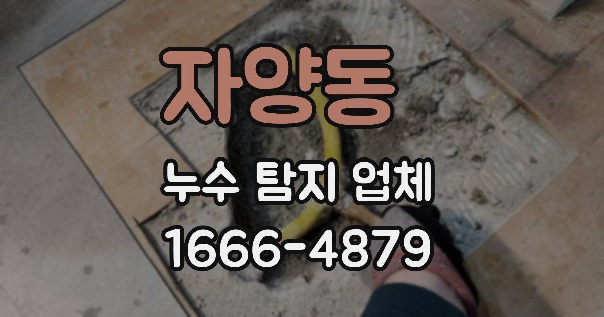 자양동 누수 탐지 업체