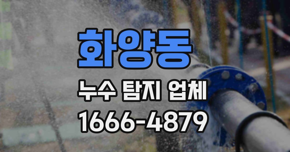 화양동 누수 탐지 업체