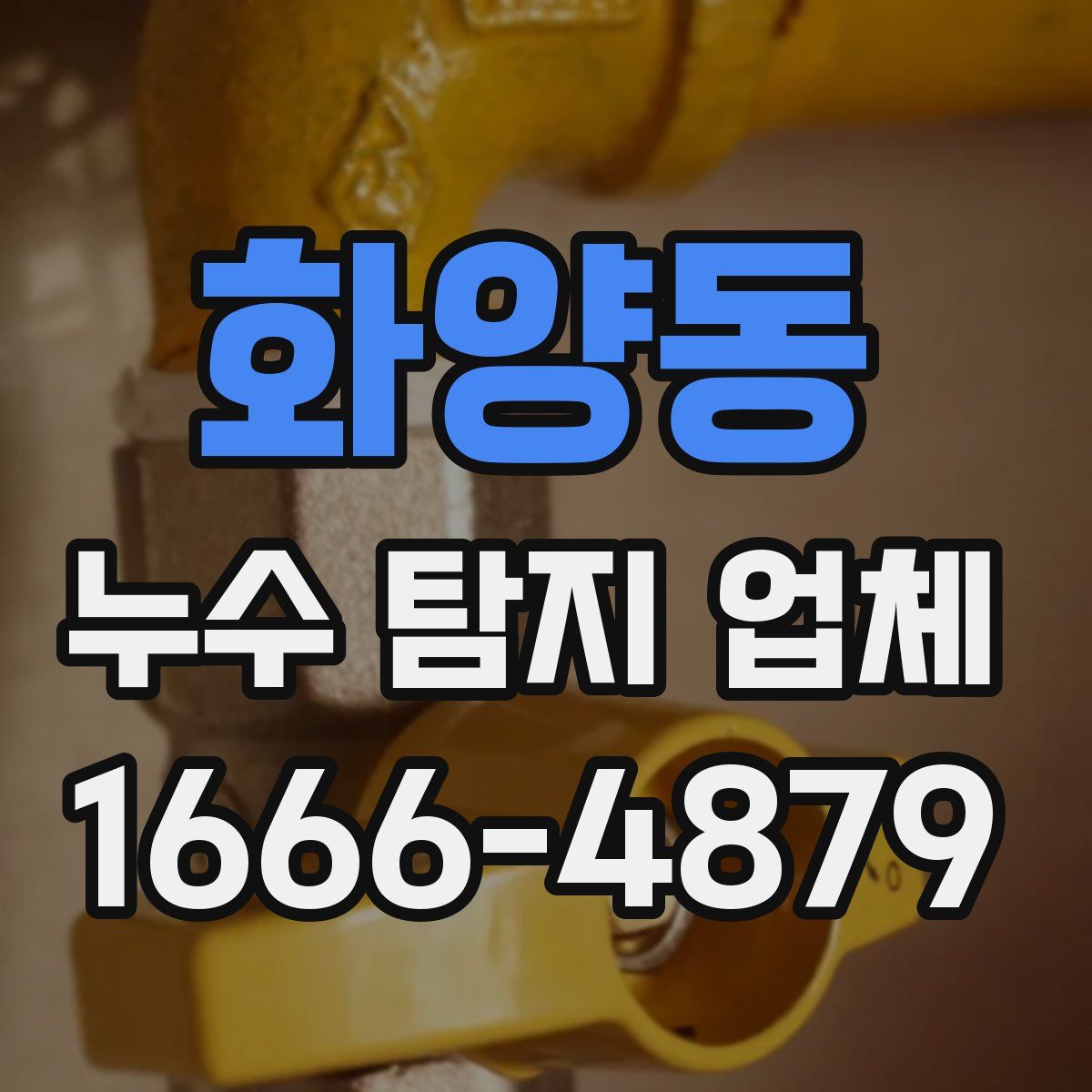 화양동 누수 탐지 업체