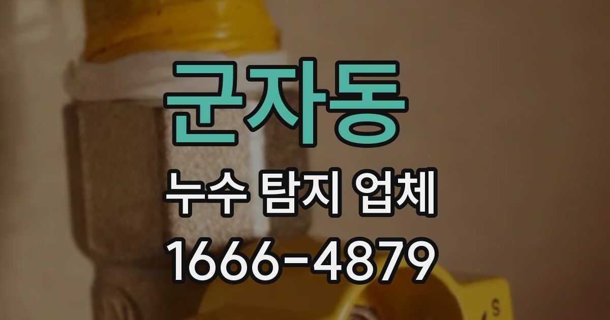군자동 누수 탐지 업체
