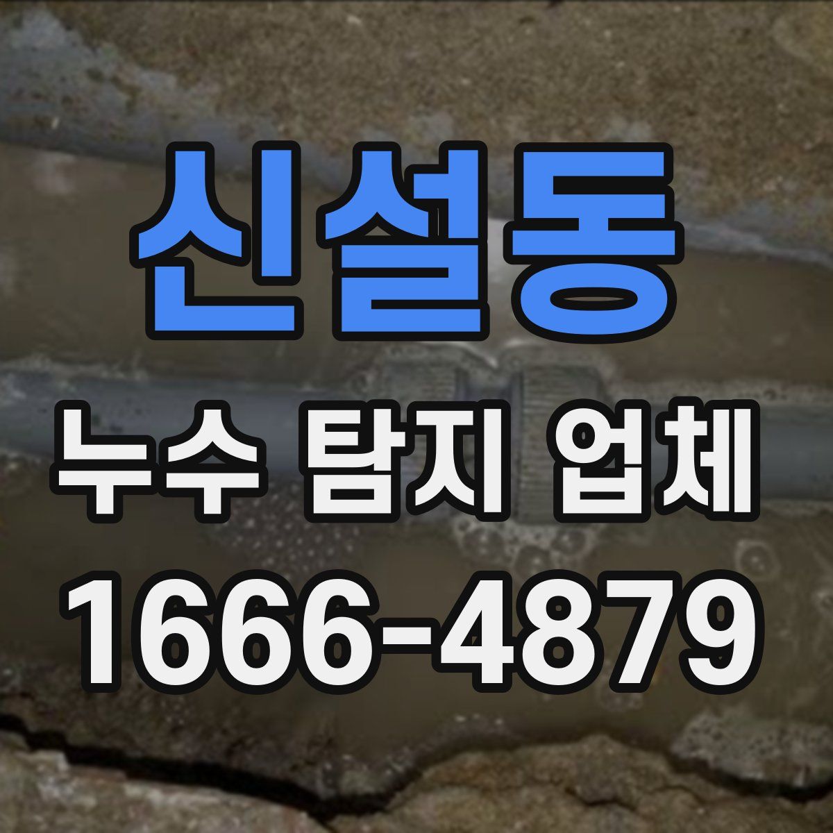 신설동 누수 탐지 업체