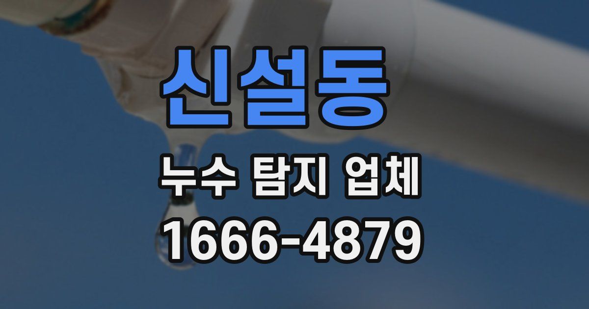 신설동 누수 탐지 업체