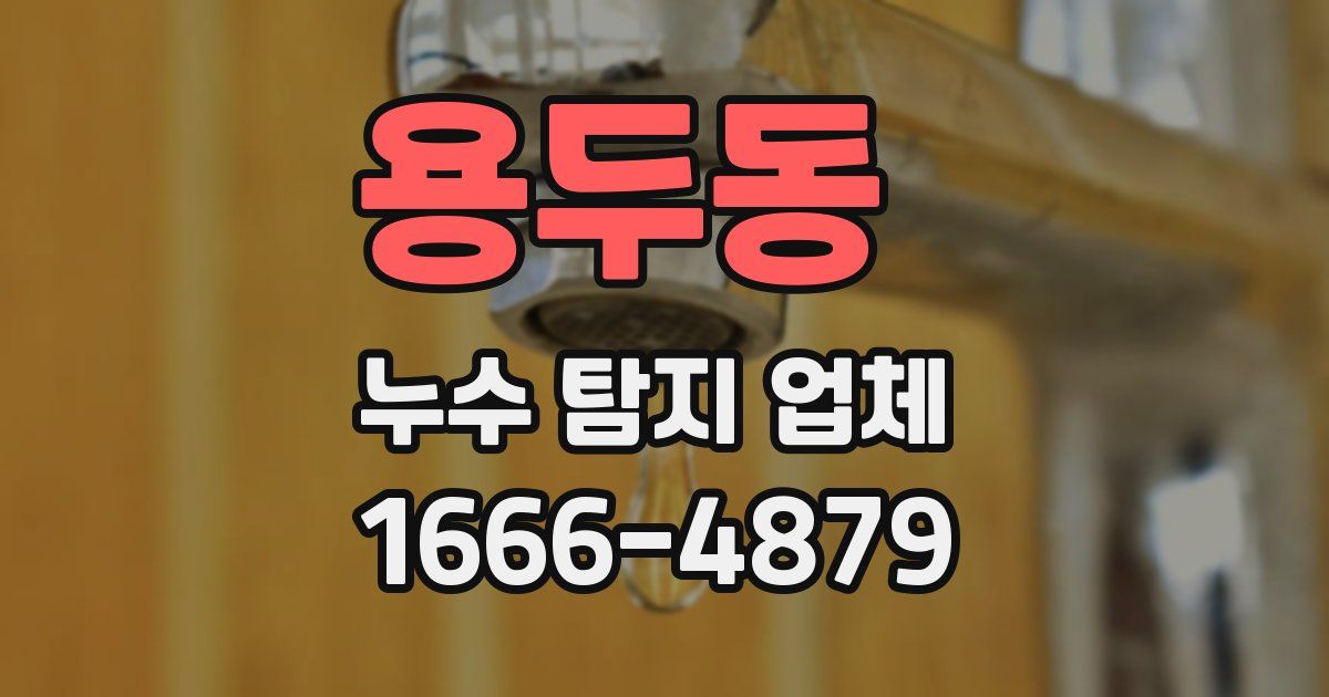 용두동 누수 탐지 업체