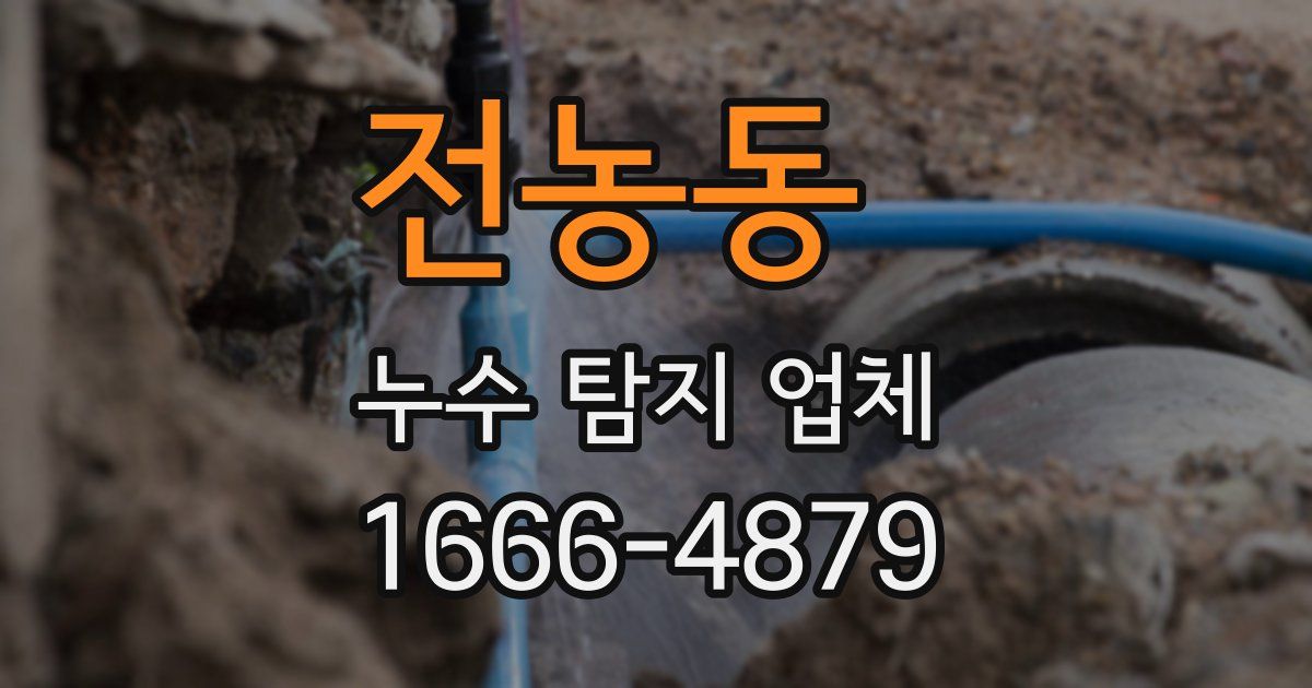전농동 누수 탐지 업체