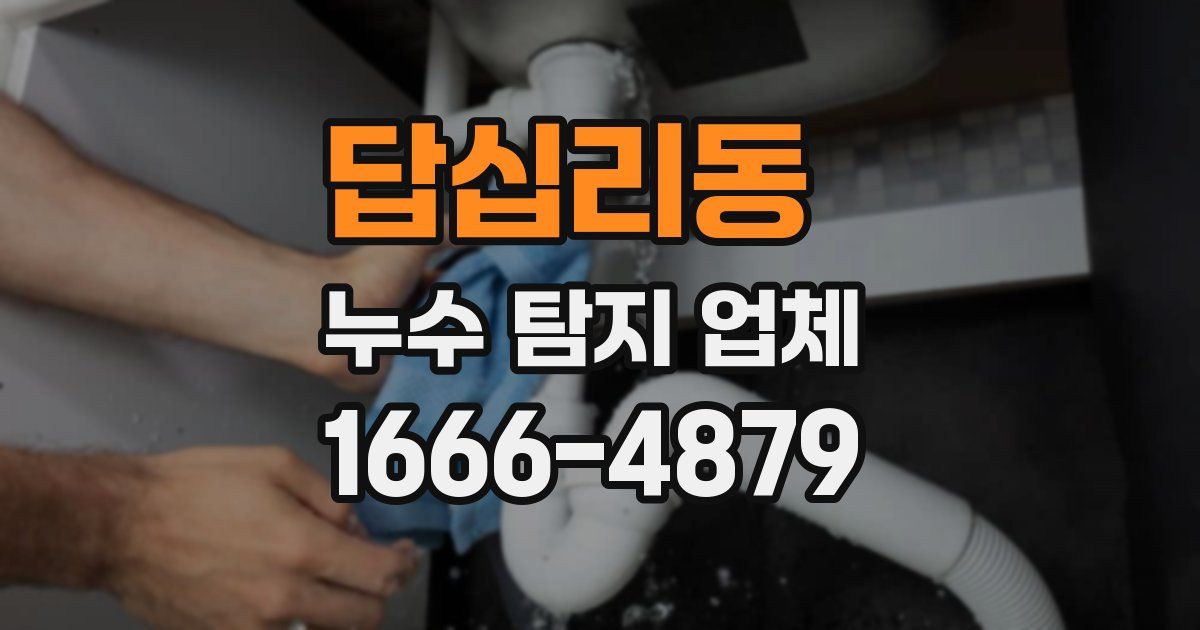 답십리동 누수 탐지 업체