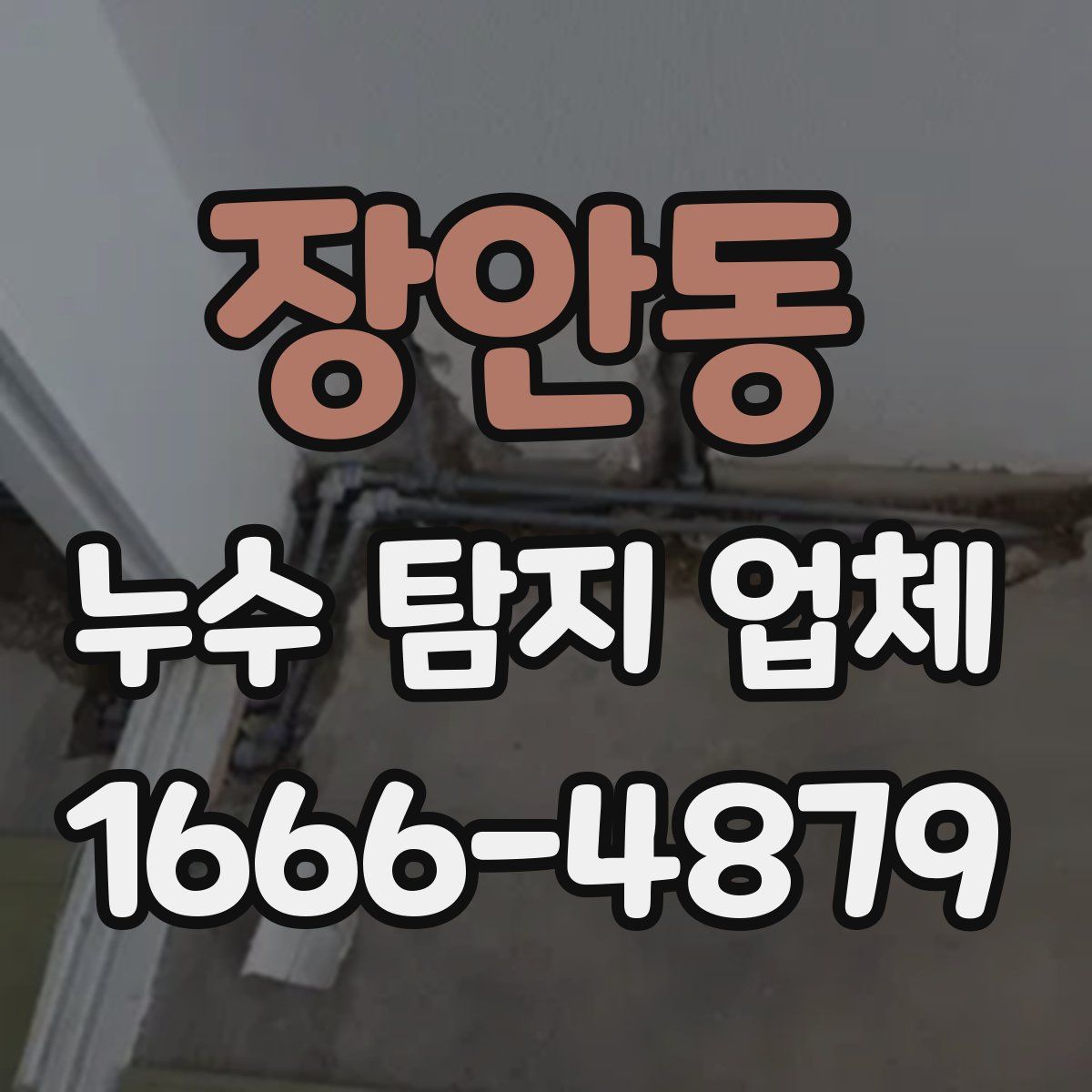장안동 누수 탐지 업체