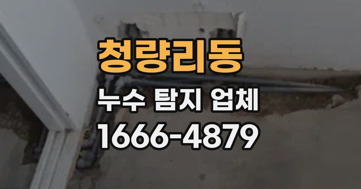 청량리동 누수 탐지 업체
