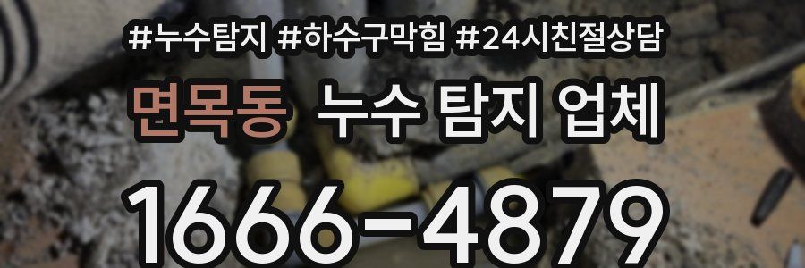 면목동 누수 탐지 업체