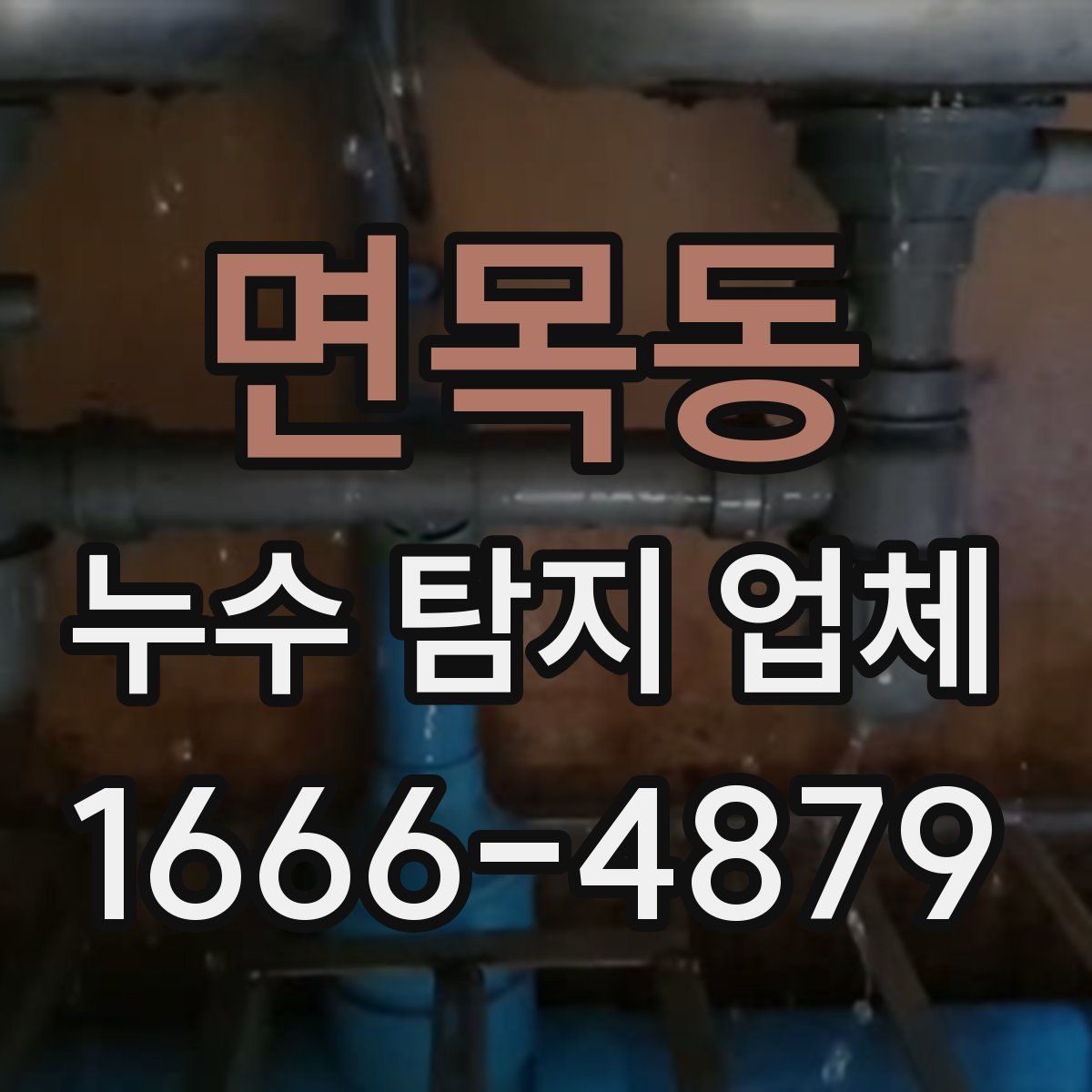 면목동 누수 탐지 업체