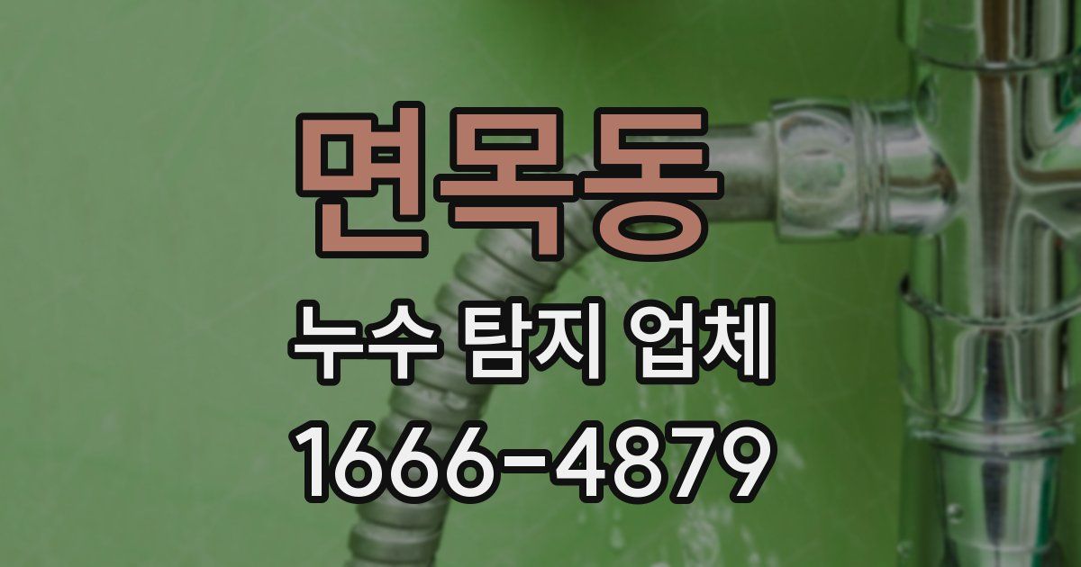 면목동 누수 탐지 업체