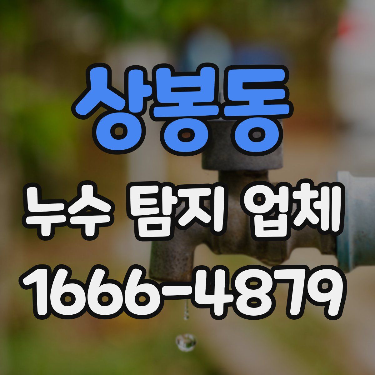 상봉동 누수 탐지 업체