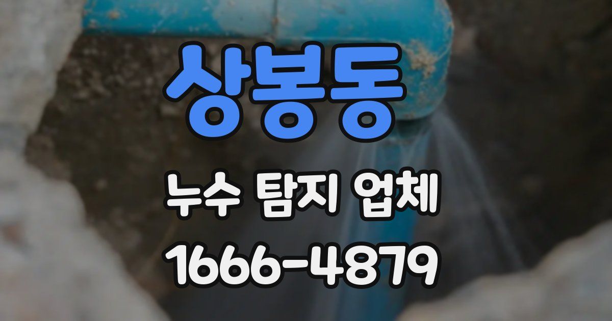 상봉동 누수 탐지 업체