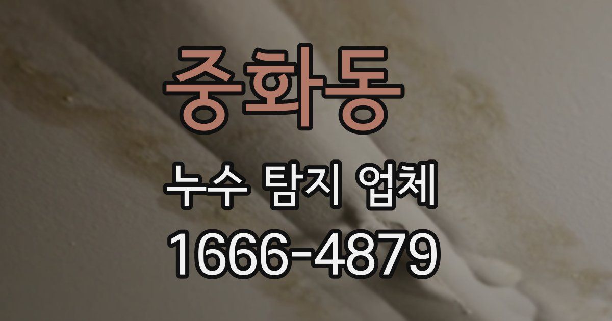 중화동 누수 탐지 업체