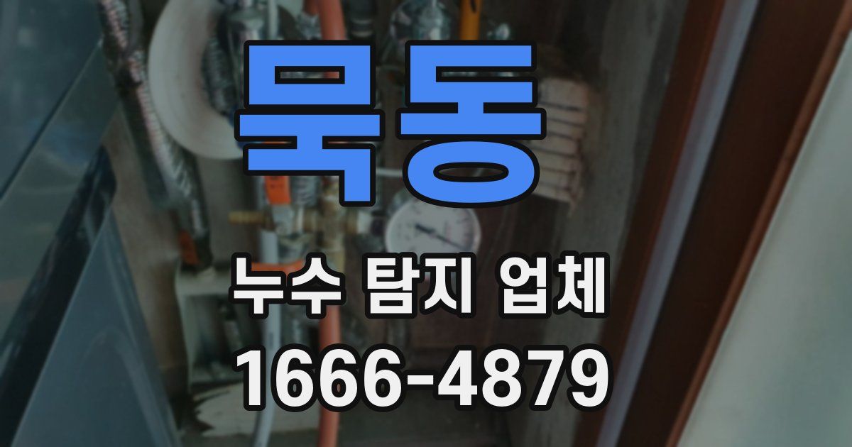 묵동 누수 탐지 업체