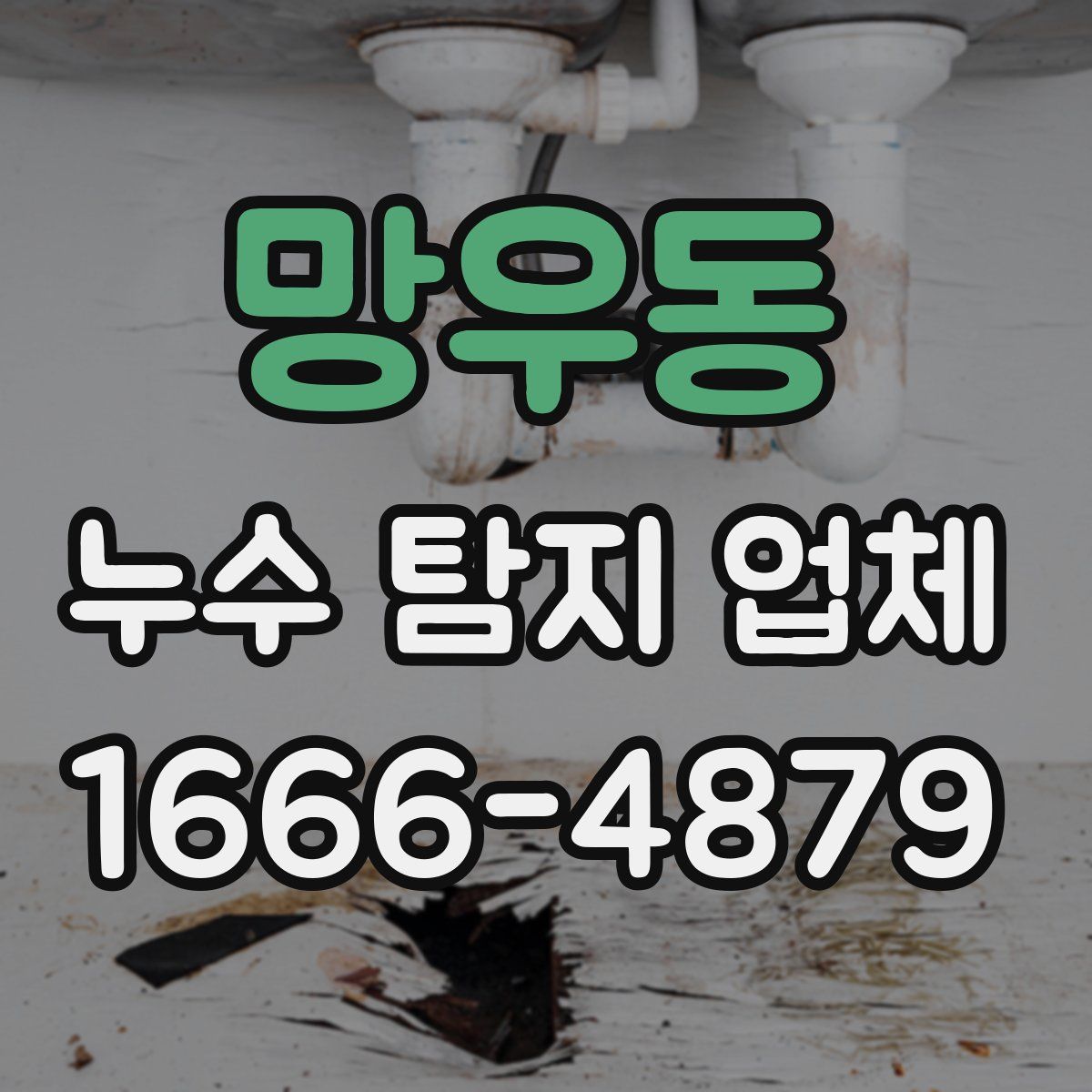망우동 누수 탐지 업체
