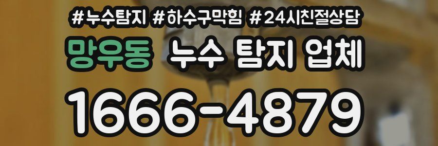 망우동 누수 탐지 업체