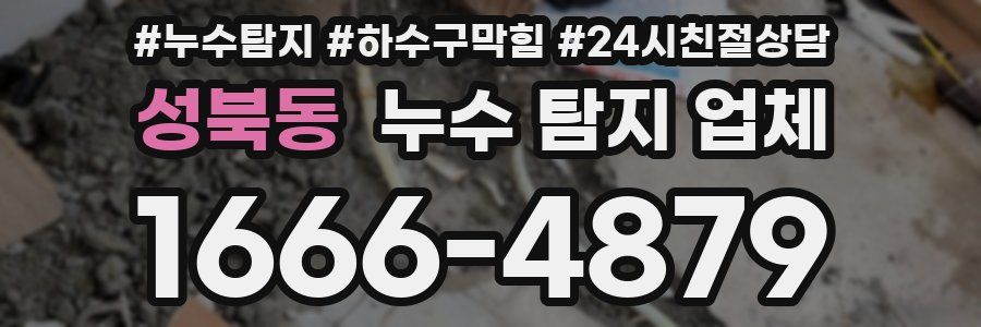 성북동 누수 탐지 업체
