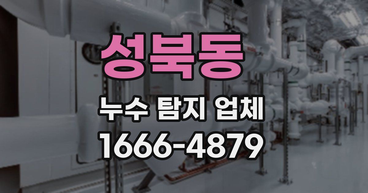 성북동 누수 탐지 업체