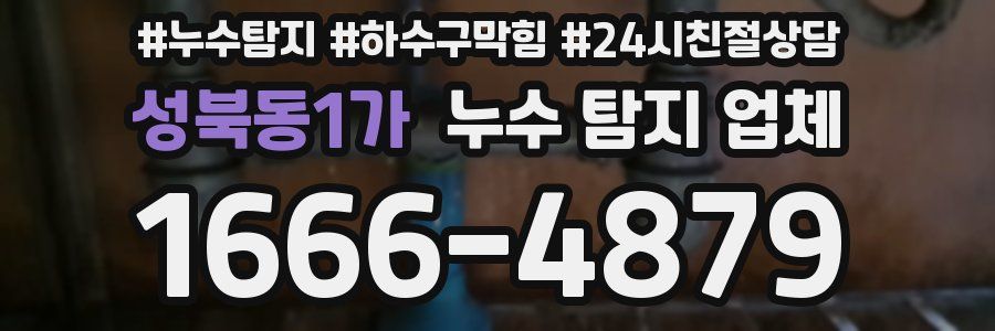 성북동1가 누수 탐지 업체