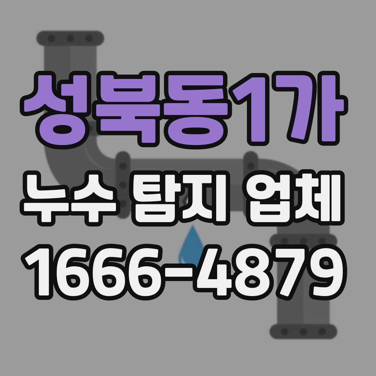성북동1가 누수 탐지 업체