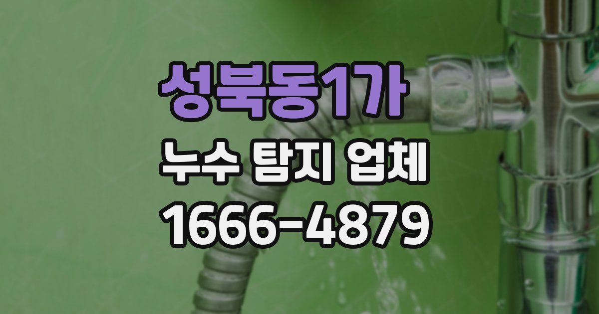 성북동1가 누수 탐지 업체
